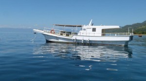 Boat Trip from Atauro Island