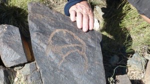 Petroglyphs in Mongolia