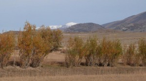 Russia: Tashanta to Biysk Altai Valley