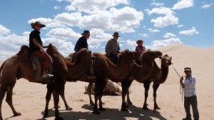 7th aug camel ride Khongoryn Els Gobi 1 