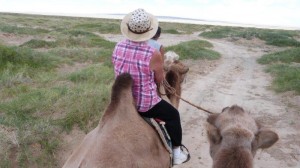 7th aug camel ride Khongoryn Els Gobi 5 