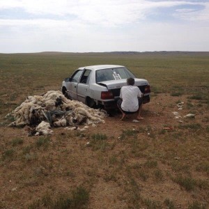 Number plate collection builds in Mongolia  