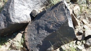 Petroglyphs Gobi 4 