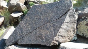 Petroglyphs Gobi 5 