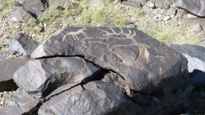 Petroglyphs Gobi 6 