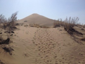 Singing Dunes Kazakhstan (1) 