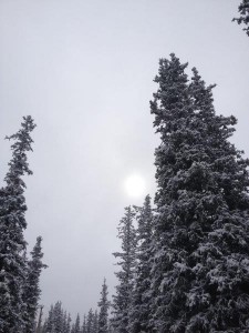 Snow in alpine lodge Bisckek (3) 