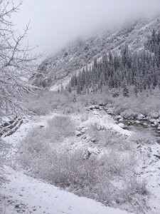 Snow in alpine lodge Bisckek (8) 