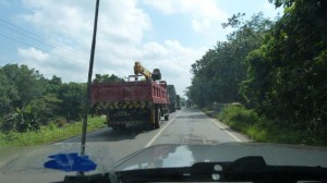 Sumatra Traffic (2)     